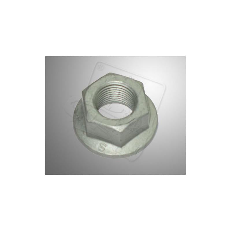 Écrou de volant moteur Briggs et Stratton WF
