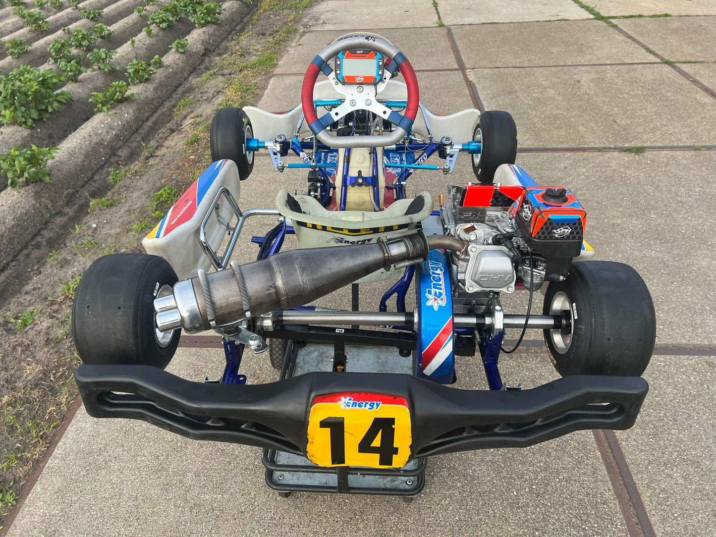 Energy Corse Storm Mini Cadet GX160cc - KartKings