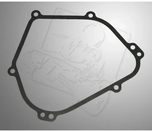 Briggs and Stratton WF carter pakking - KartKings