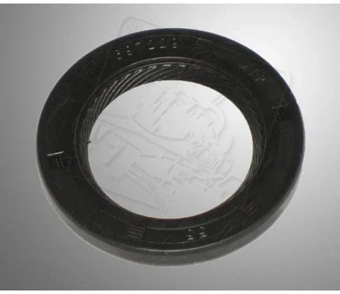 Briggs & Stratton WF carter keerring - KartKings