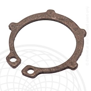 Rotax max borgclip 20x1, 2