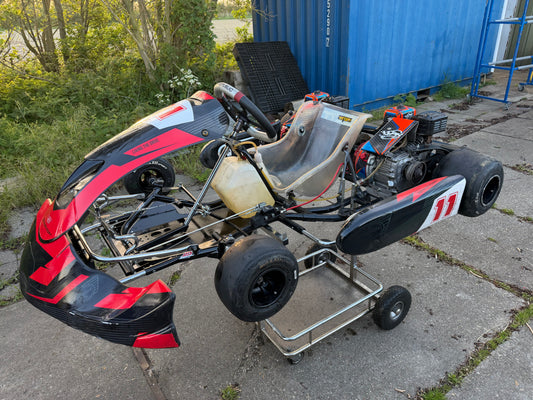 Kart professionnel d'occasion avec moteurs HP