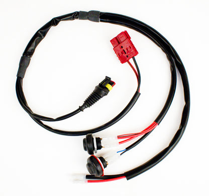 Faisceau de câbles Iame X30
