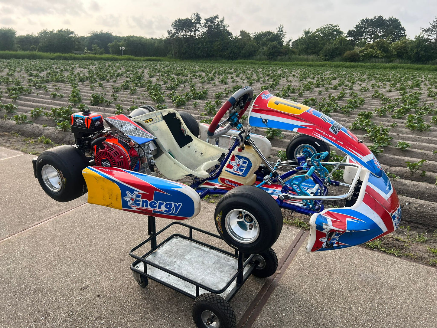 Mini Cadet Storm GX160cc d'occasion