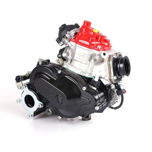 Moteur Rotax DD2 Kale