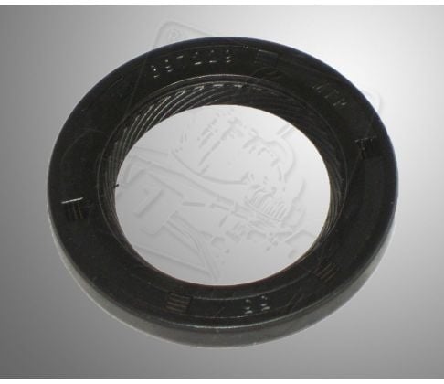 Briggs and Stratton WF crankcase oil seal