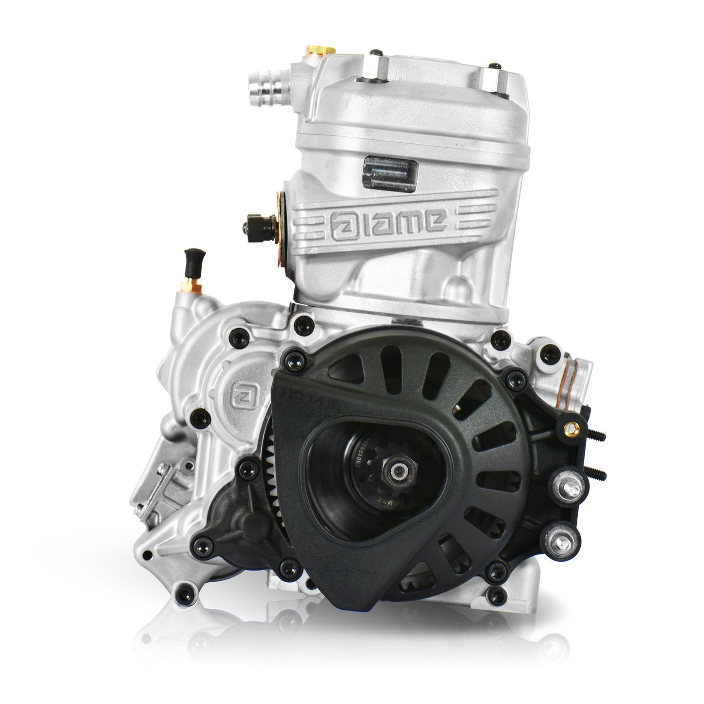 Iame X30 complet 125CC JUNIOR Avec amortisseur IAME